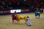 Quadrille - 00433